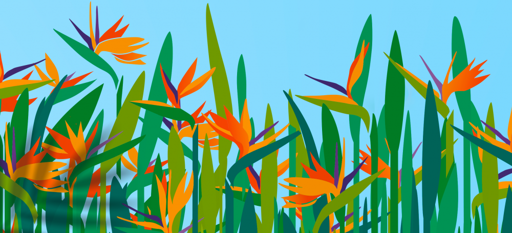 MEDITERRANEAN JEWELS